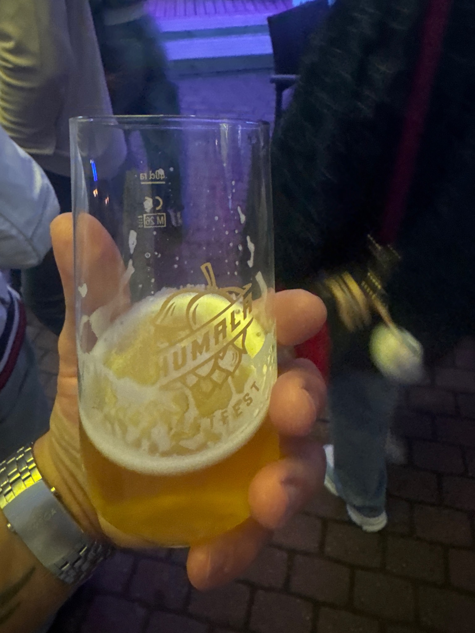 Järvi Pils, Finland