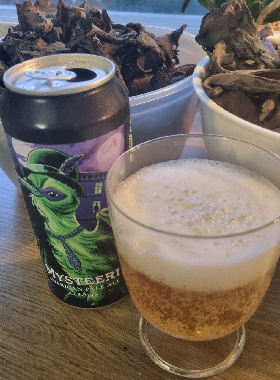Mysteeri, Finland