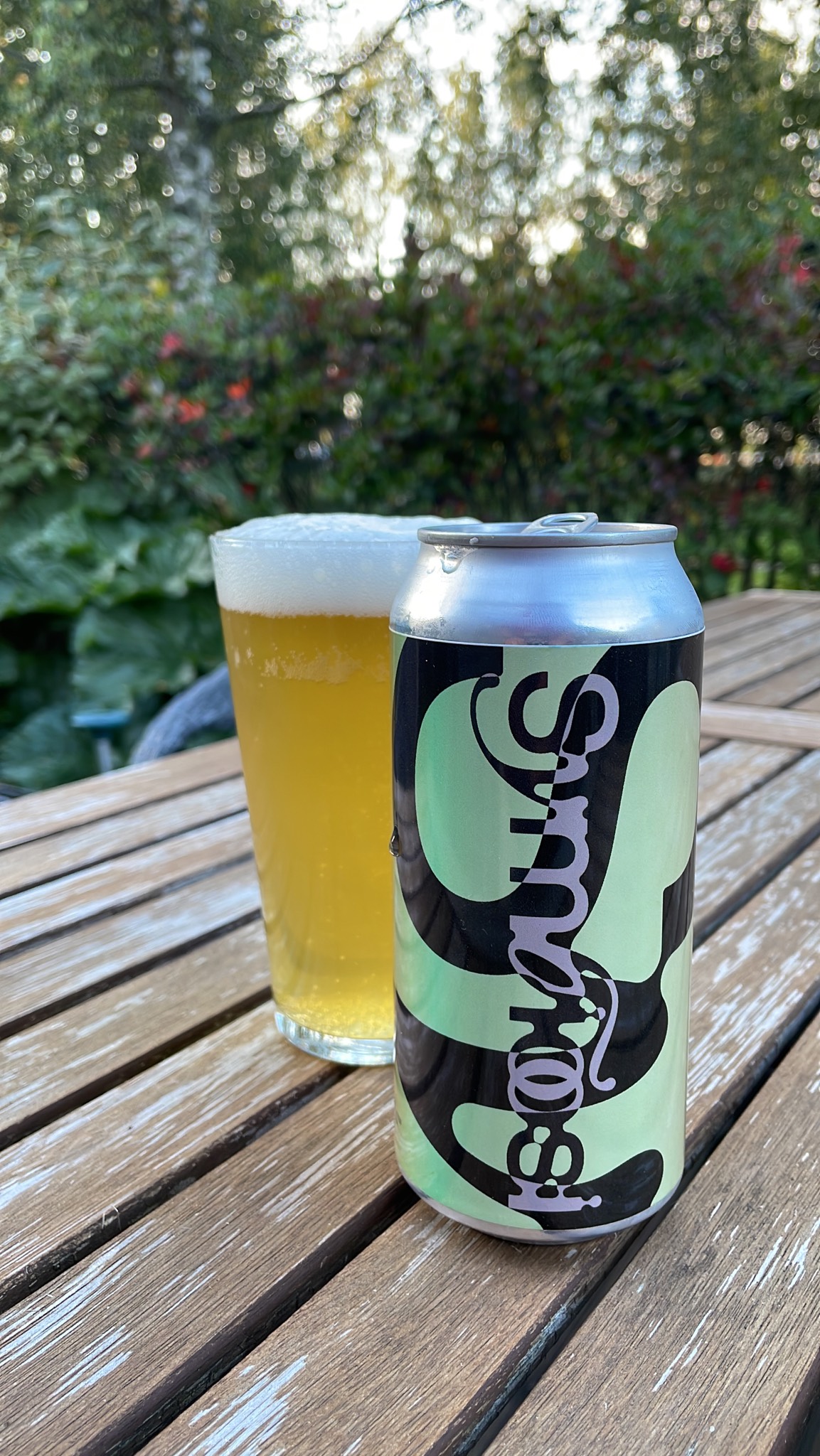 Symbioosi, Ant Brew