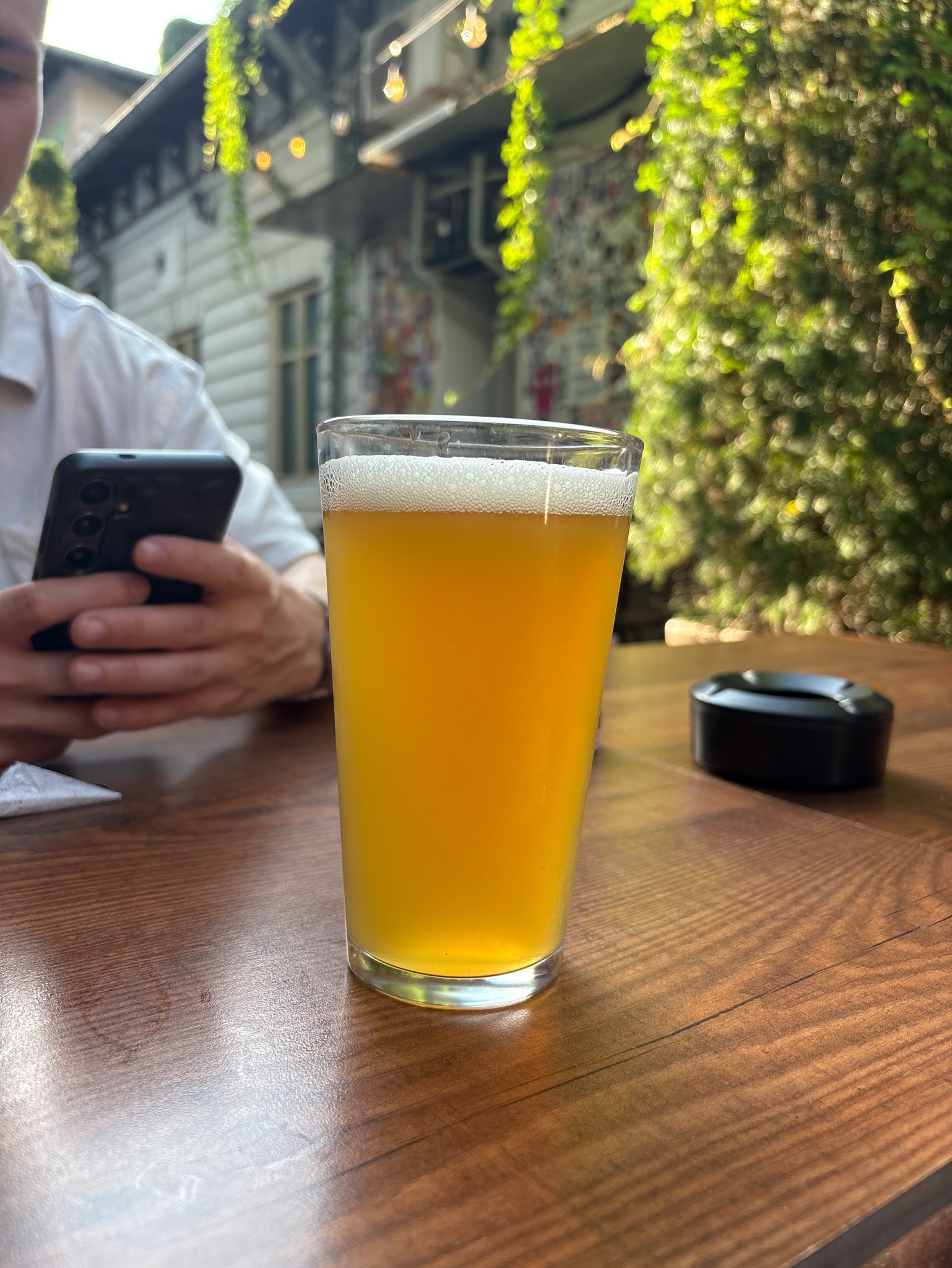 Freak Wave, Gamma Brewing Company