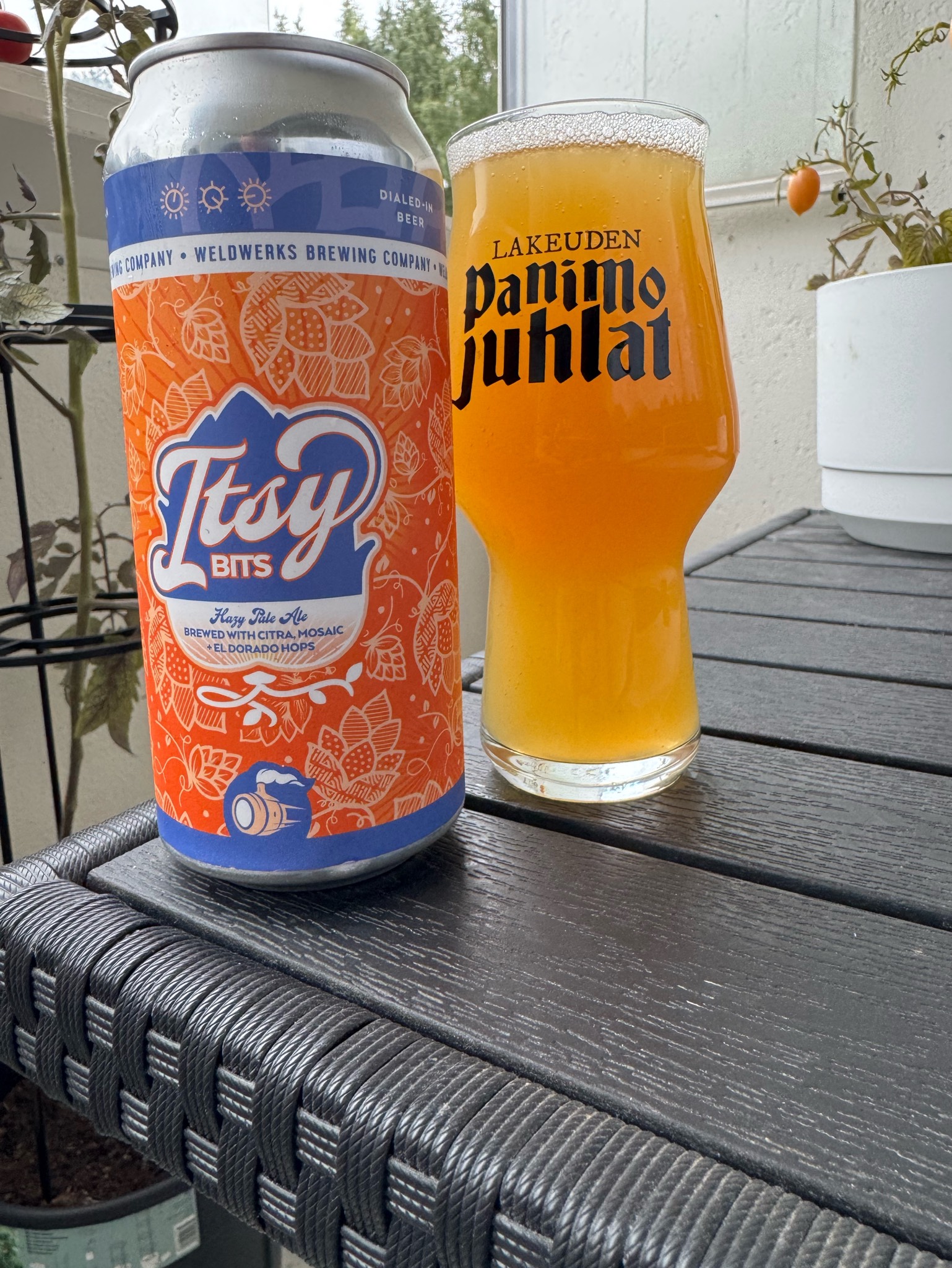 Itsy bits, WeldWerks Brewing Co