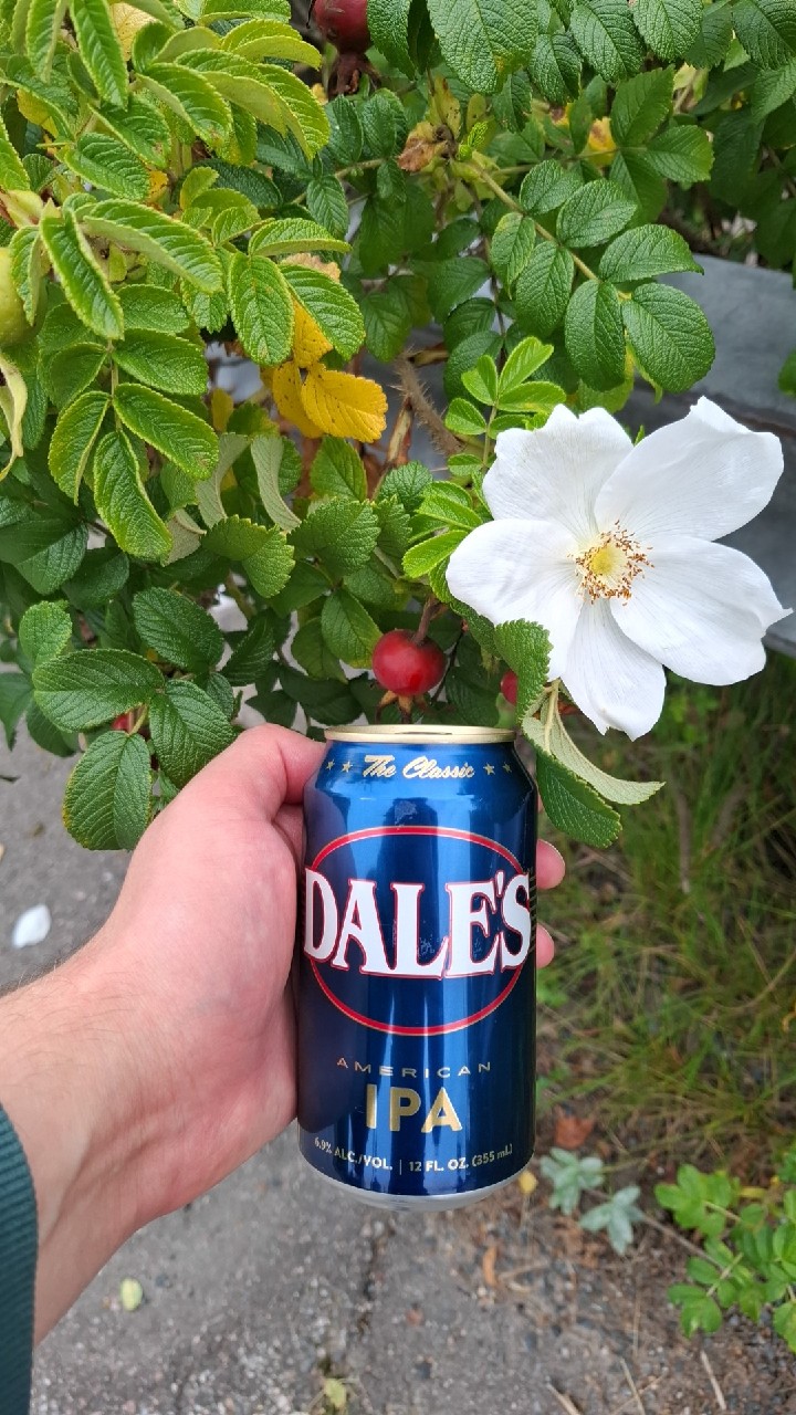 Dale's American IPA, Oskar Blues Brewery