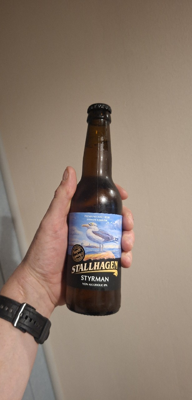 Styrman, Finland