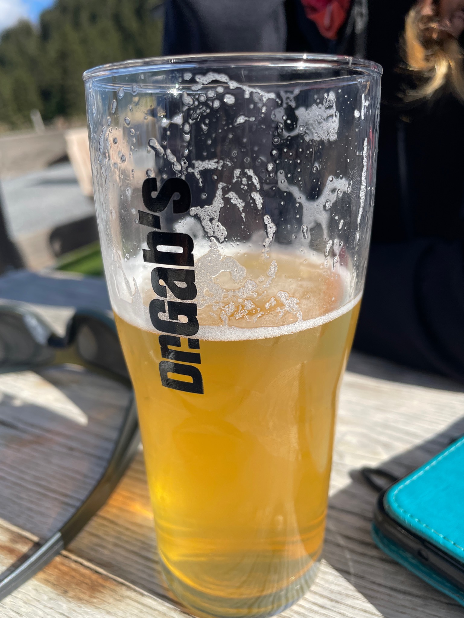 Houleuse, Brasserie Docteur Gab's
