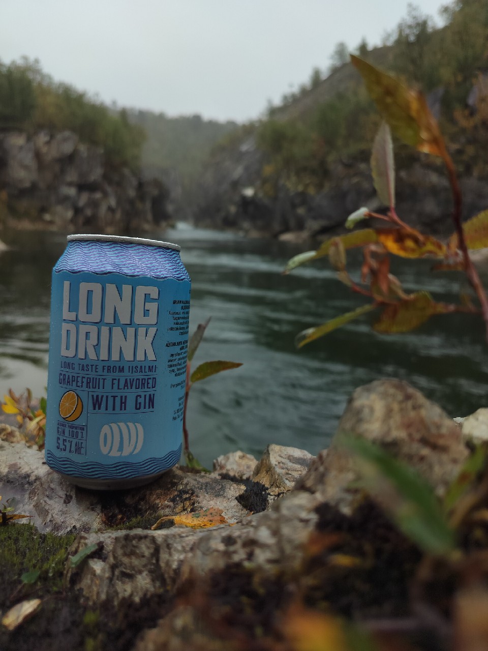 OLVI Long Drink Grapefruit, Finland