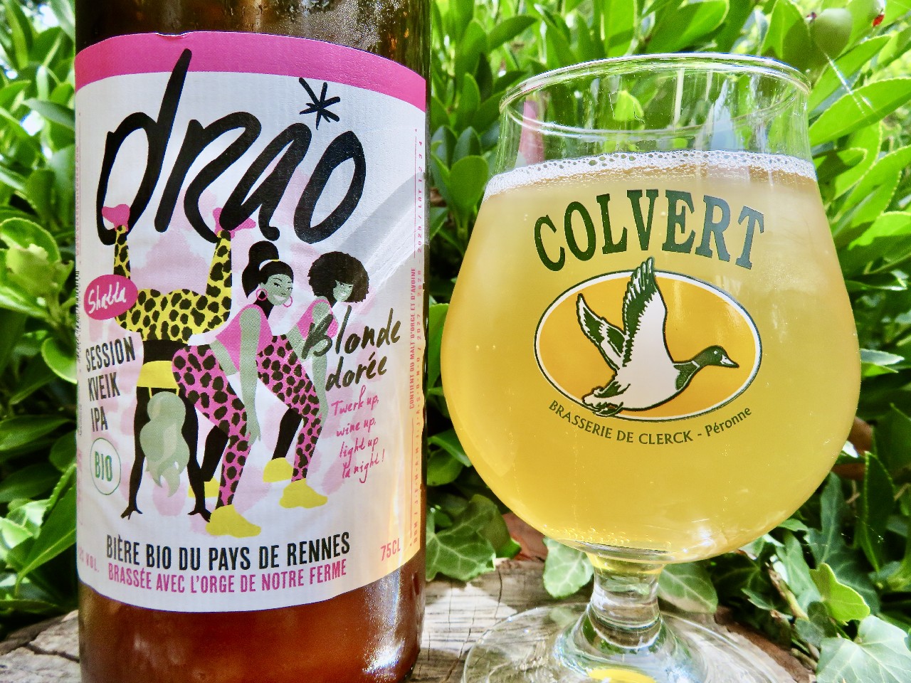 Shatta Session Kveik IPA, Ferme Brasserie Drao