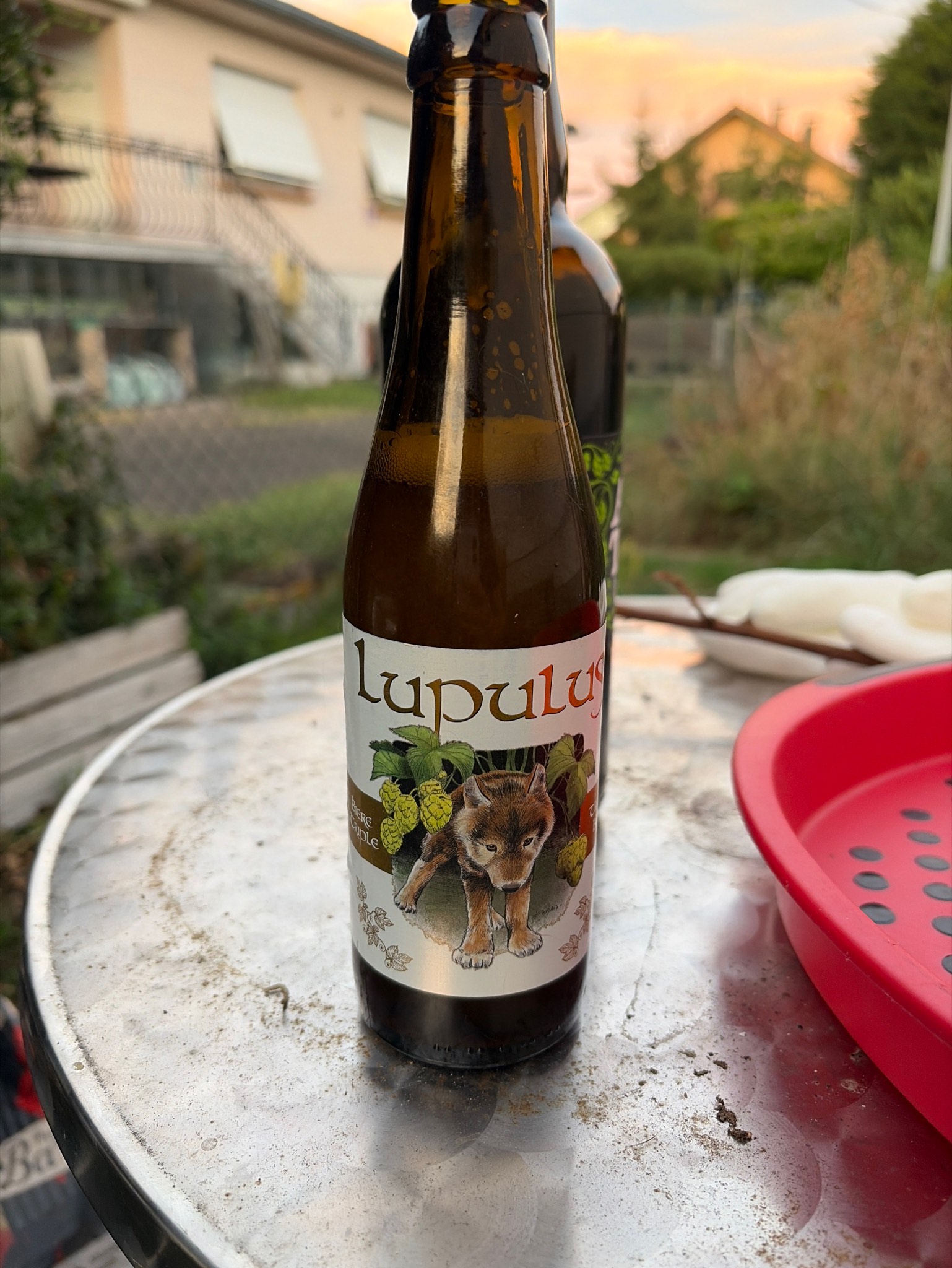 Lupulus Blonde / Triple, Belgium