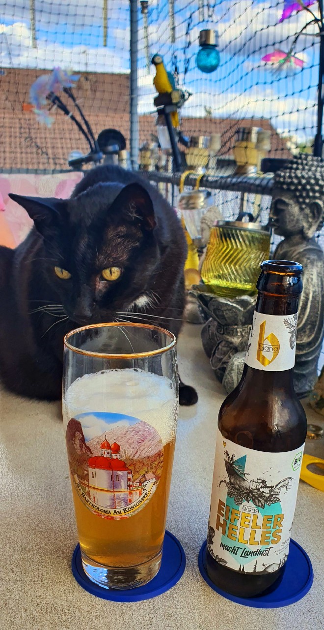 Blanq Eifeler Helles, Vulkan Brauerei
