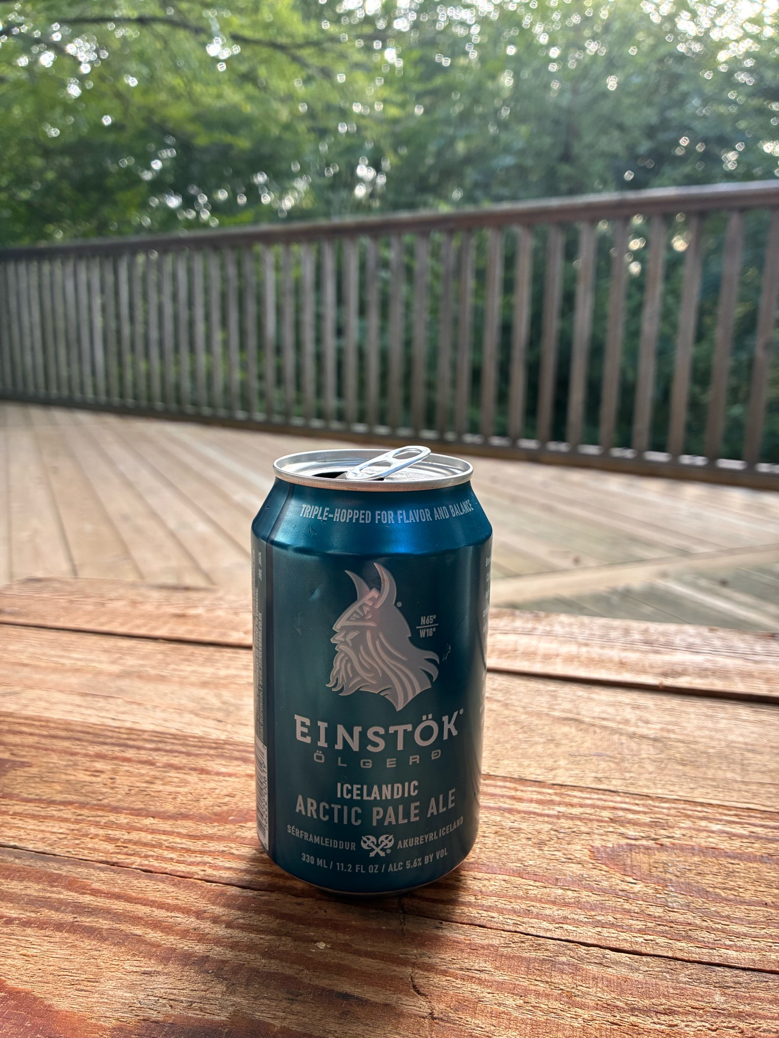 Icelandic Arctic Pale Ale, Iceland