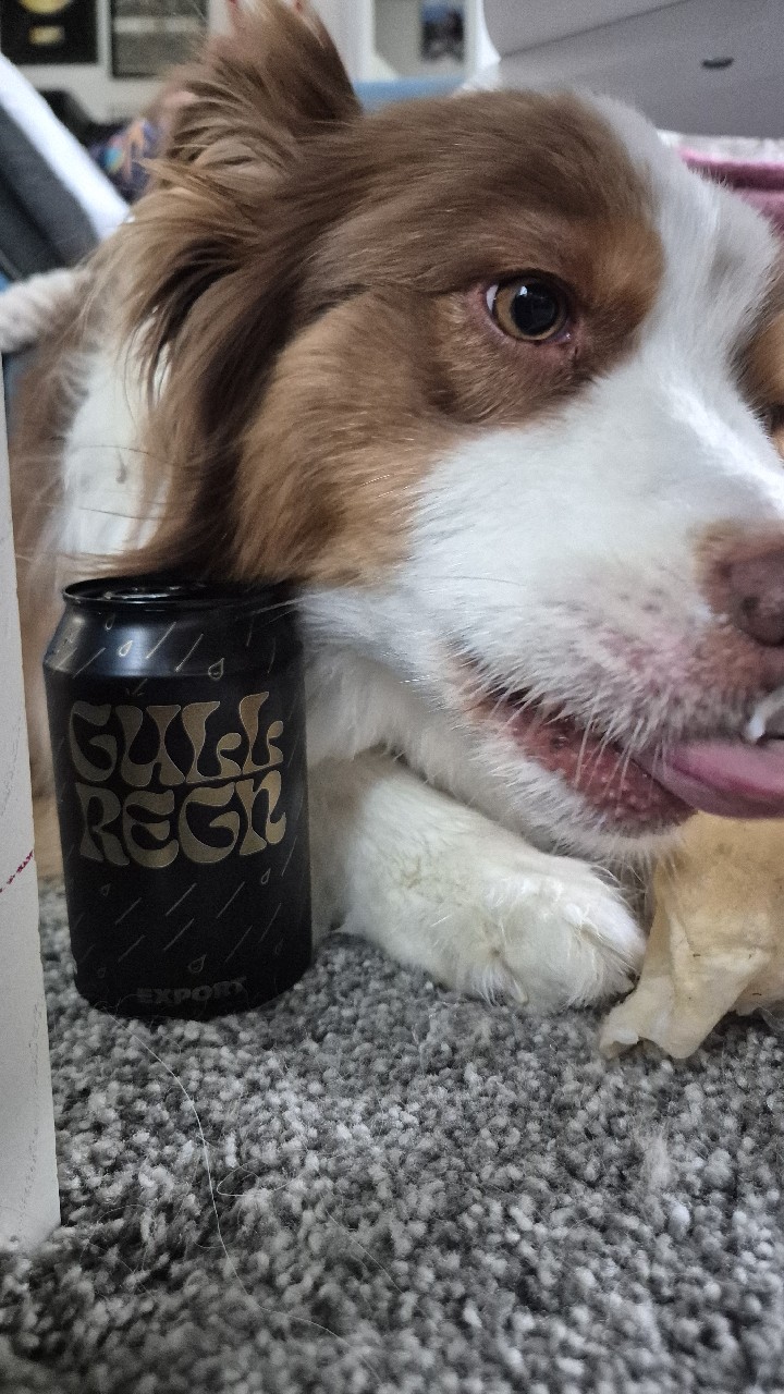 Gullregn, OY Brewing