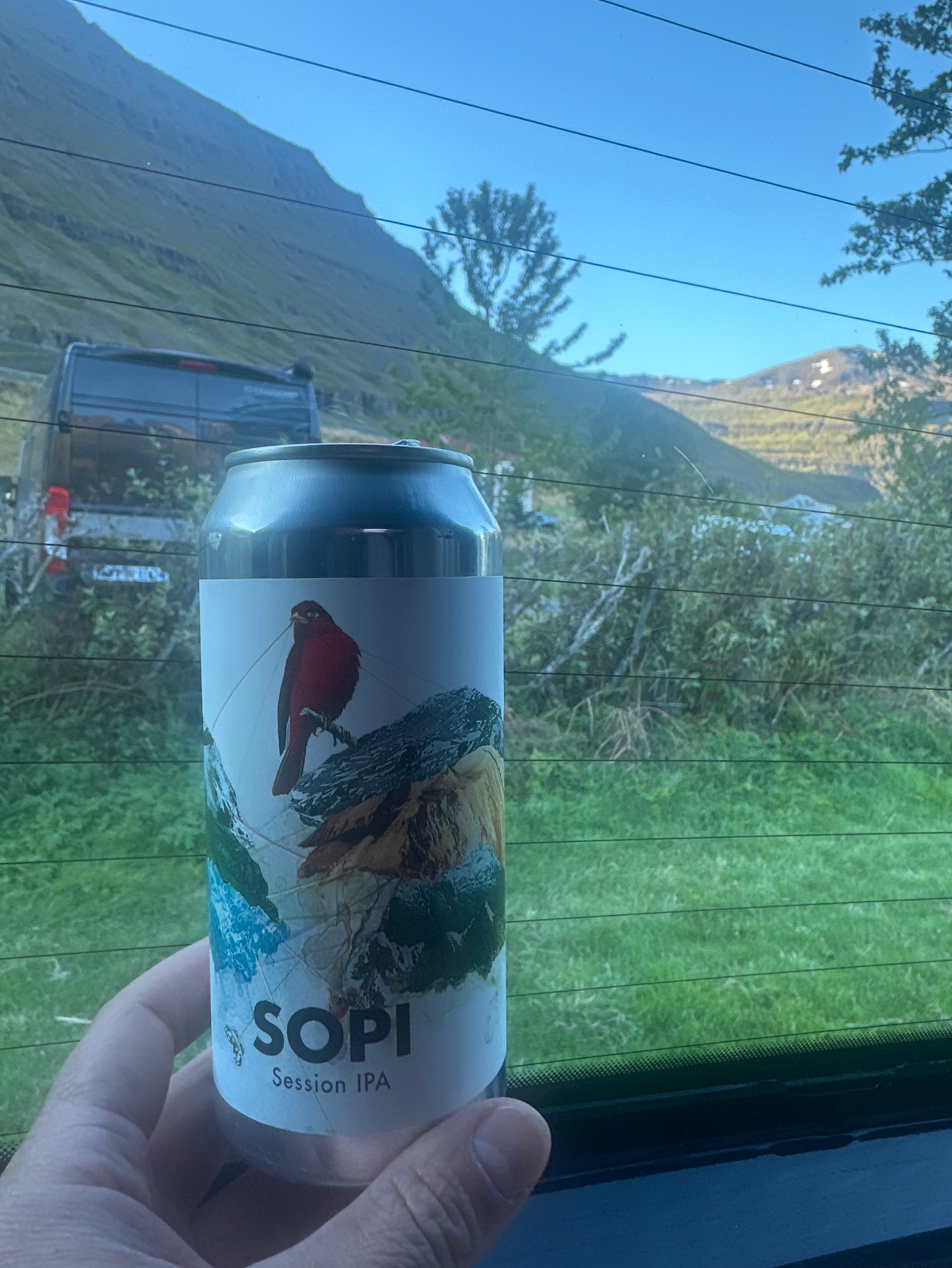 Sopi, Iceland