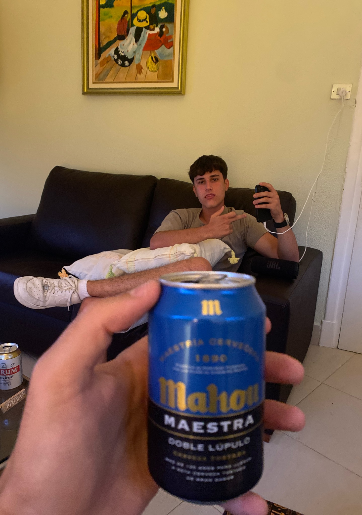Mahou Maestra Cerveza Tostada / Doble Lúpulo, Spain