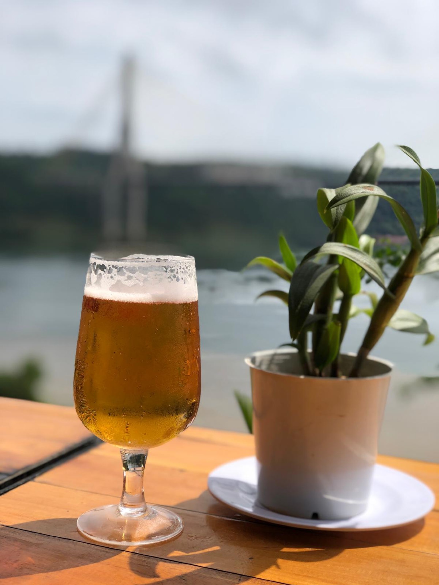 imperial lager, imperial