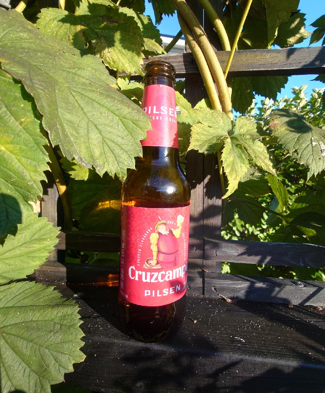 Cruzcampo Pilsen, Spain