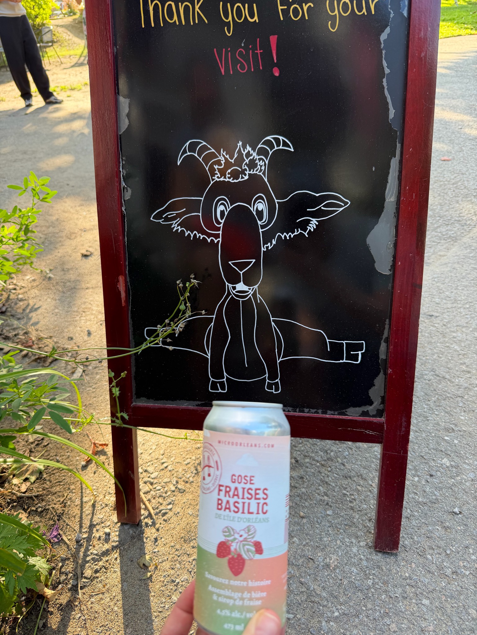 Gose fraise basilic, Canada