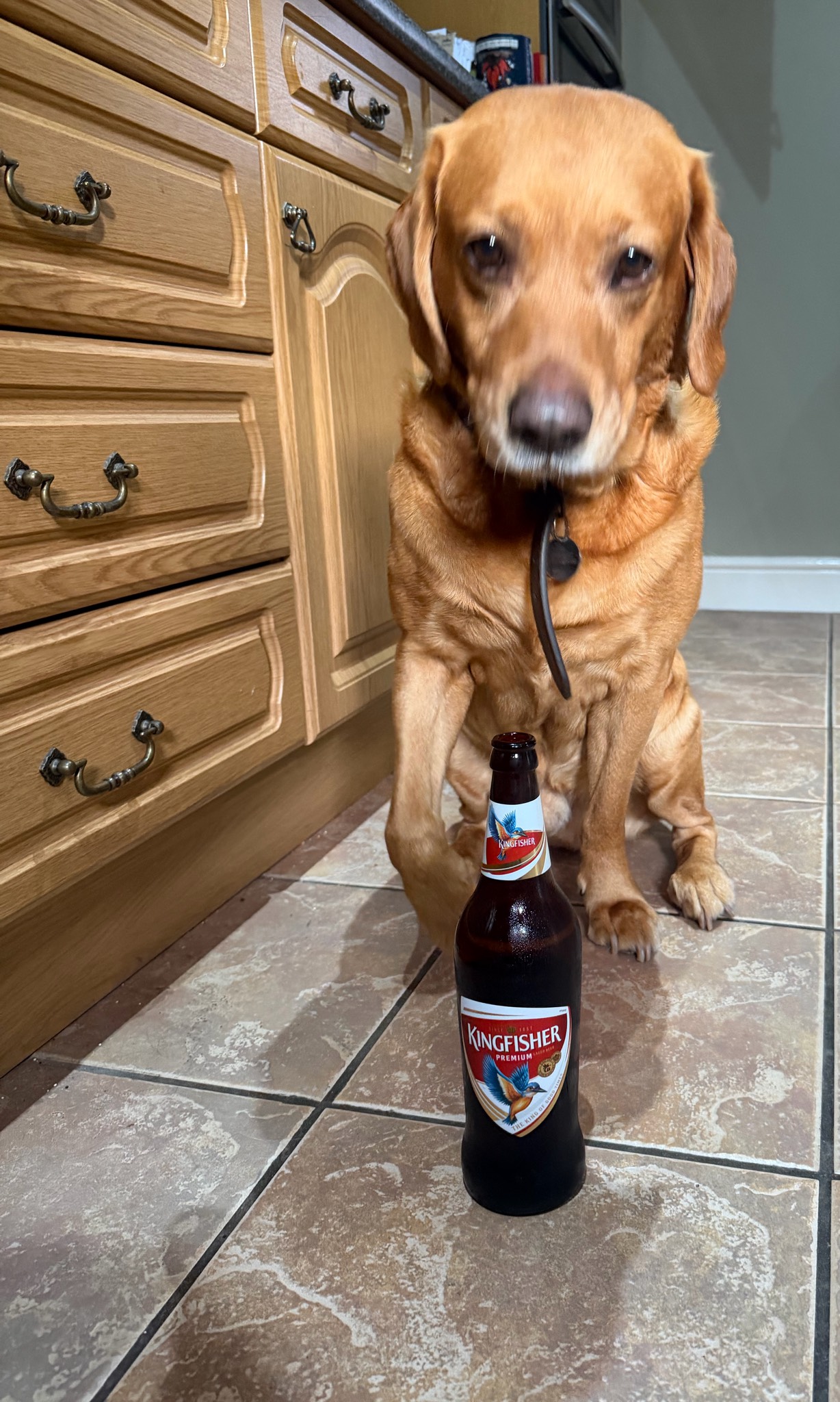 Kingfisher Premium Lager, United Breweries Group