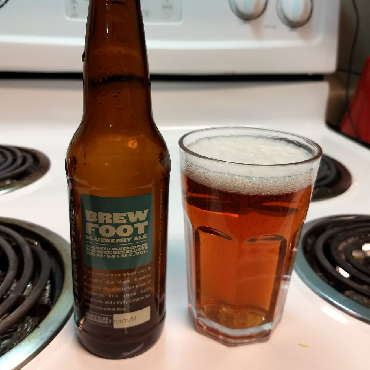 Brewster's Brew Foot Blueberry Ale, Canada