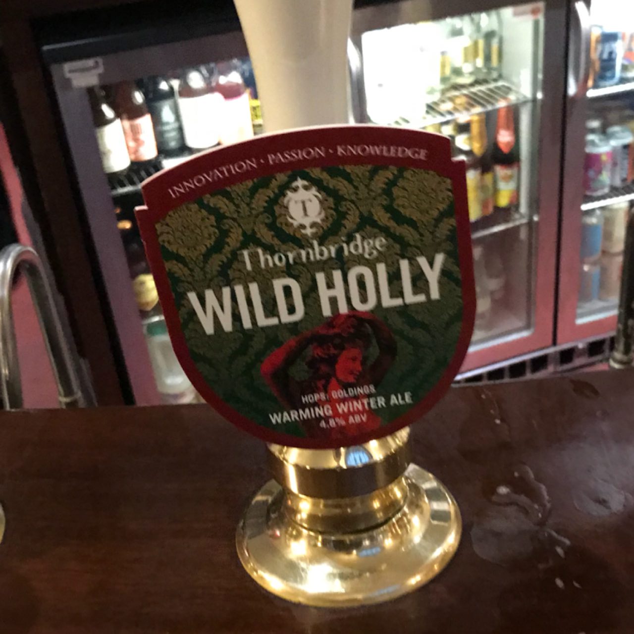 Wild Holly, England