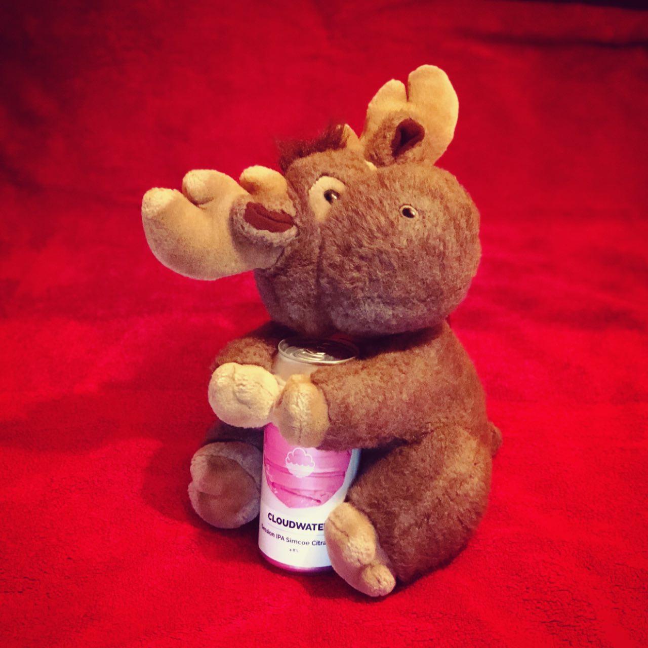 Spring•Summer Session IPA Simcoe Citra BBC, England