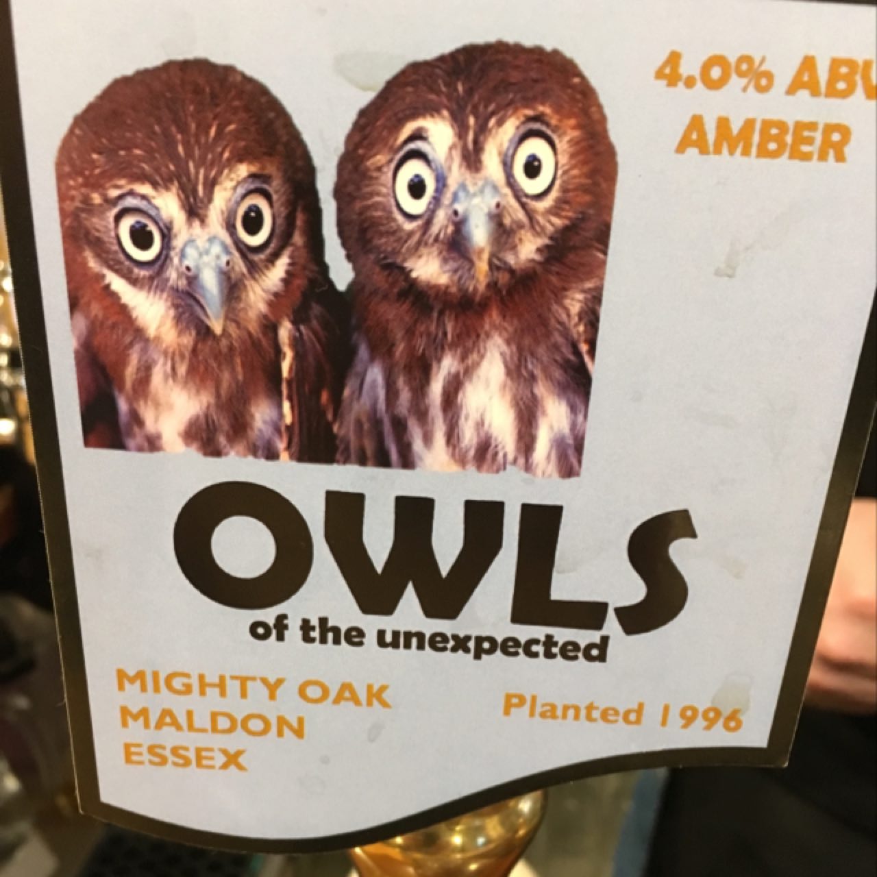 Owls Of The Unexpected, England