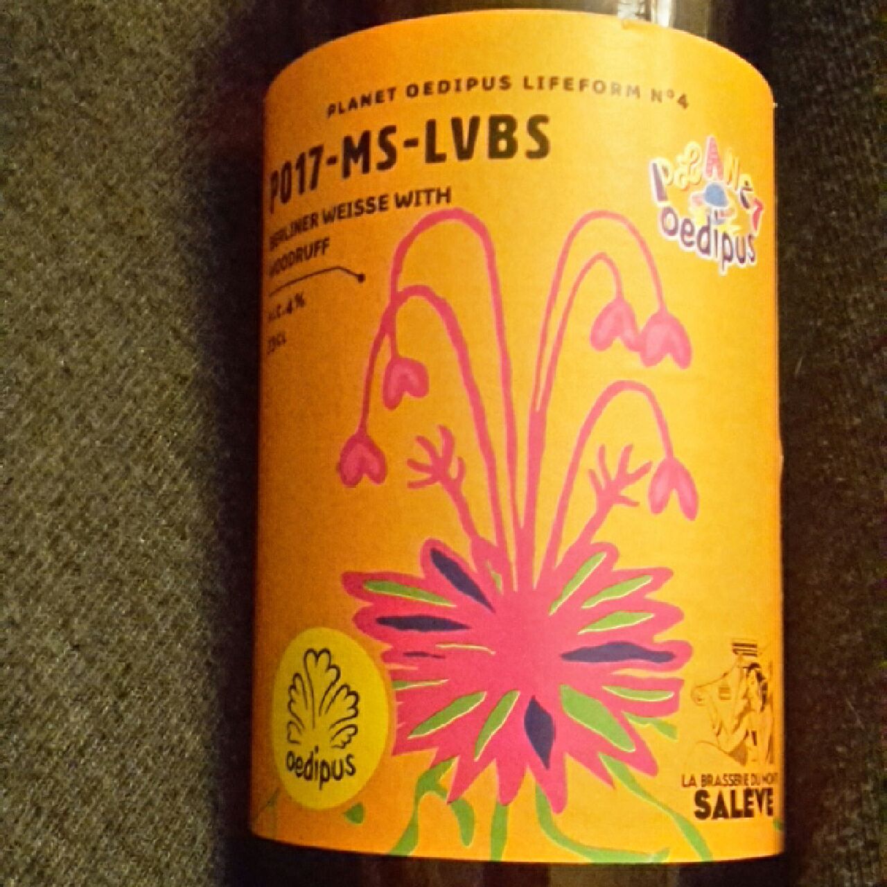 P017-MS-LVBS, France