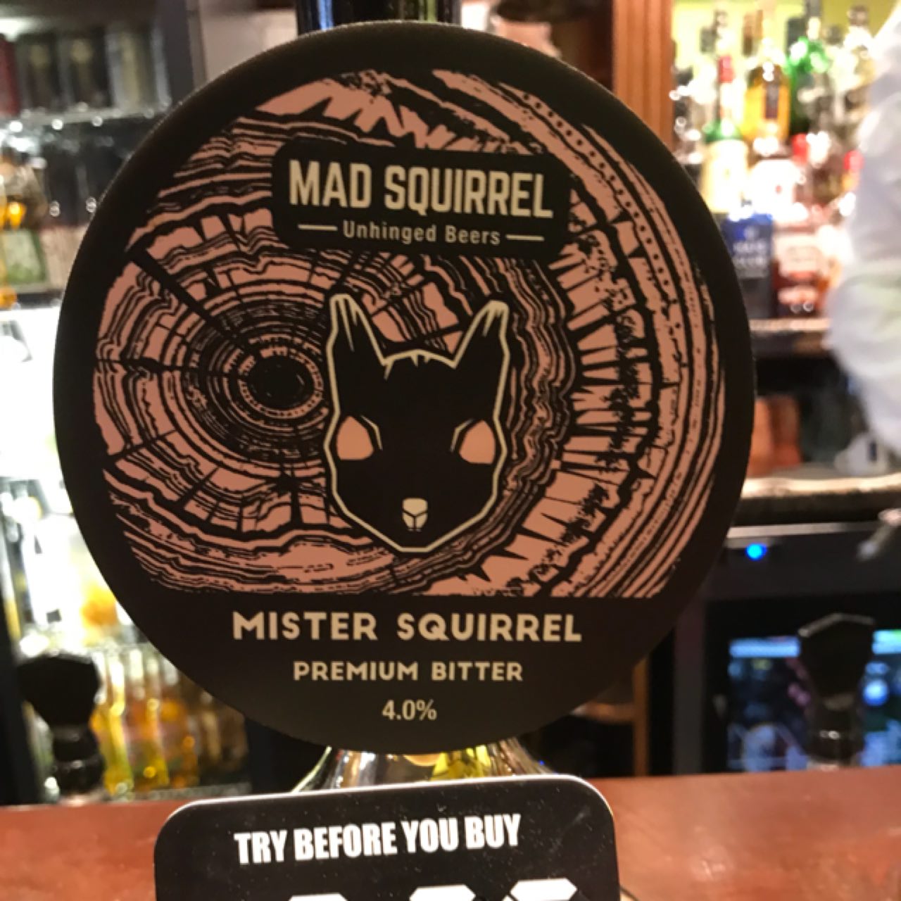 Mister Squirrel, England