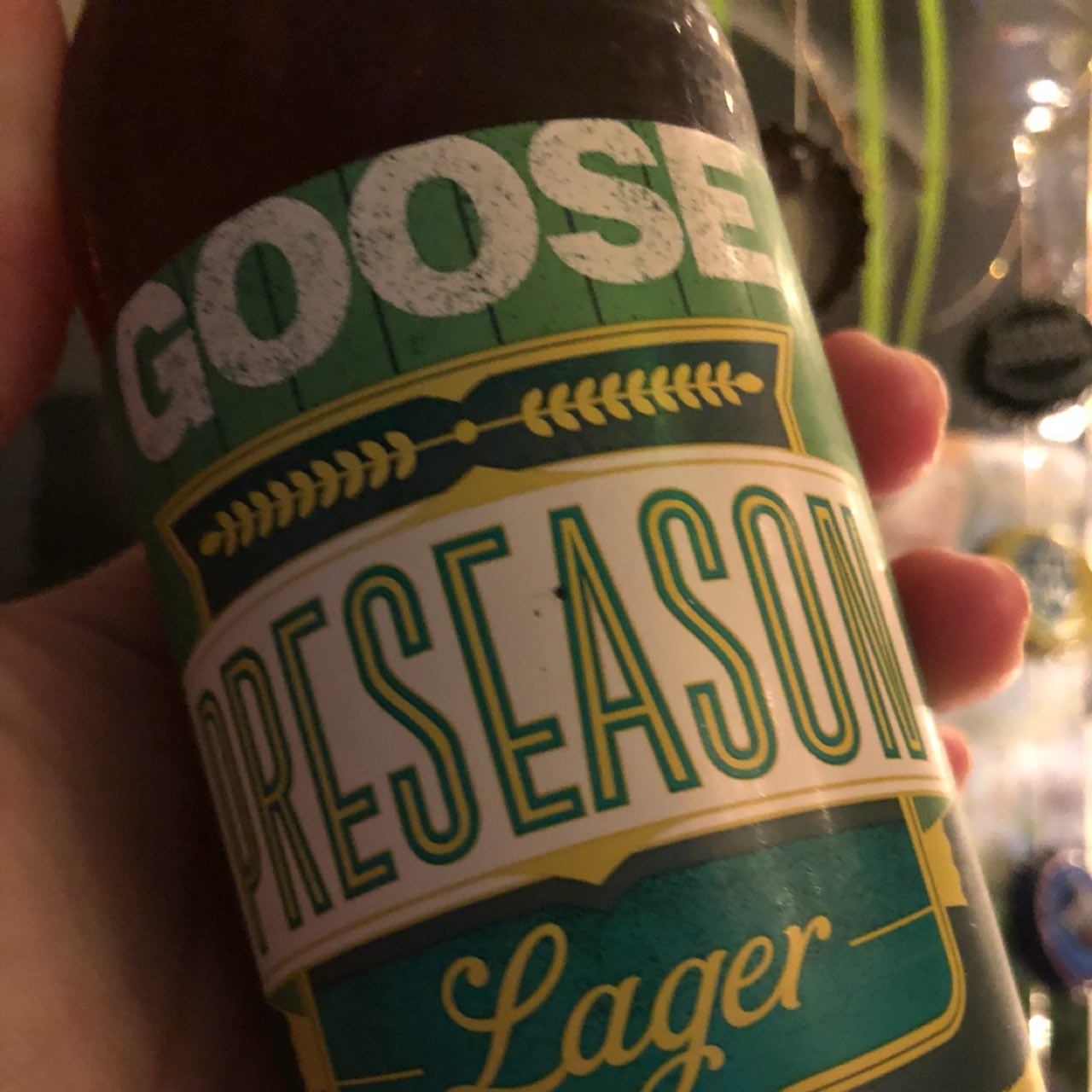 Goose Preseason Lager, United States